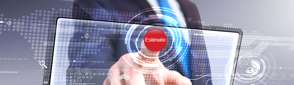 estimate